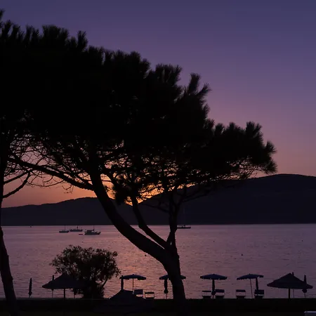 Corte Rosada Affiliated By Melia (adults Only)